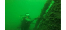 A diver’s POV of diving the GOM Dead Zone Photo