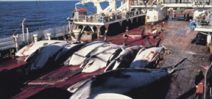 Japanese bid to lift whaling ban fails Photo