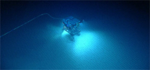 Oceano Profundo expedition discovers two new deep sea creatures Photo