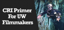 Wetpixel Live: CRI Primer for UW Filmmakers Photo