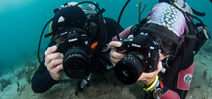 Coming soon: Nikon vs Canon Underwater Shootout Photo